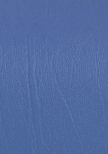 Nilkkatyyny 50 cm, sininen